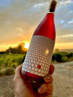 Tag + Jug Cider Co. and Taphouse by null