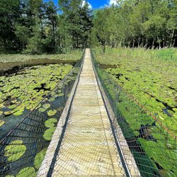 Amazing Farm Fun - Bridge with pond.