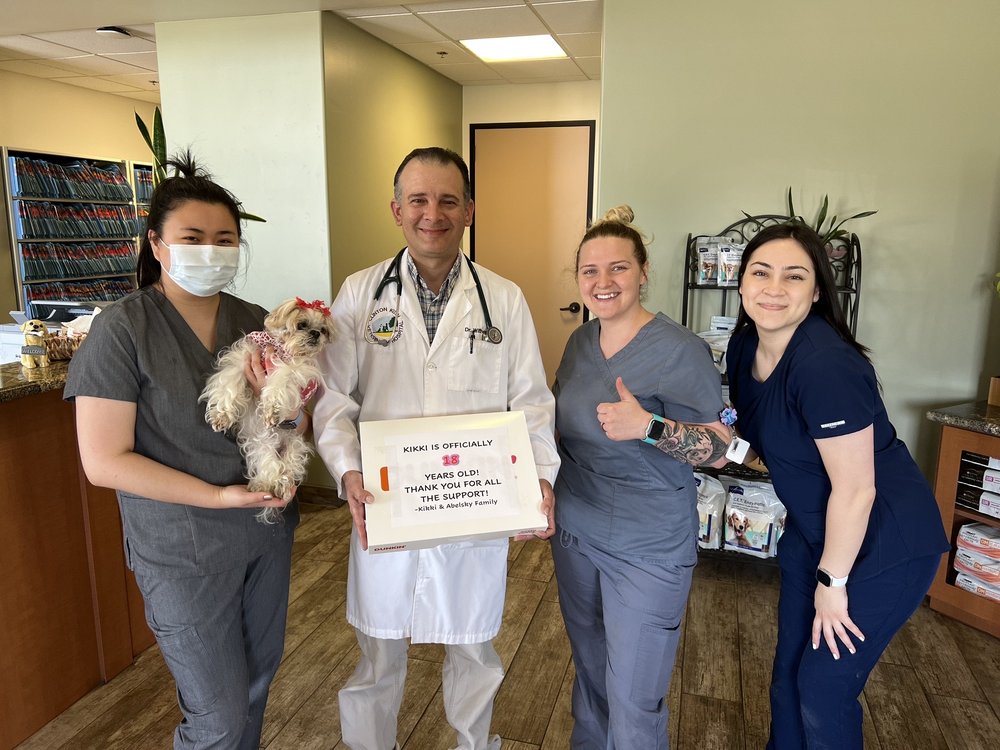 CLINTON KEITH VETERINARY HOSPITAL Updated August 2024 20 Photos