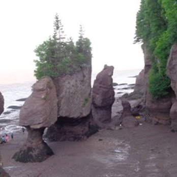 Brian Poncelet - Get protection before you need it! (Hopewell Rocks, NB) - Insurance Near Me - Oakville, Ontario Brian Poncelet - Get protection before you need it! (Hopewell Rocks, NB) - Insurance Near Me - Oakville, Ontario