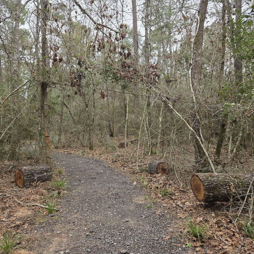 Lake Houston Wilderness Park - Hiking trail - Parks Near Me - New Caney, Texas Lake Houston Wilderness Park - Hiking trail - Parks Near Me - New Caney, Texas