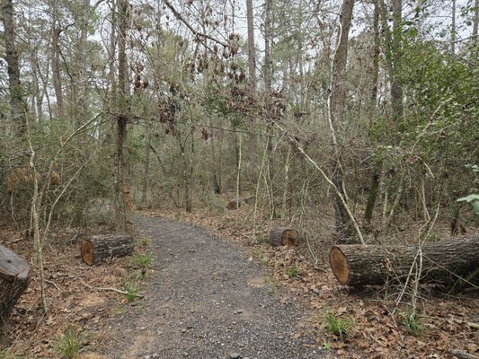 Lake Houston Wilderness Park by null