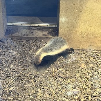 Oklahoma City Zoo - Zoos Near Me - Oklahoma City, Oklahoma Oklahoma City Zoo - Zoos Near Me - Oklahoma City, Oklahoma