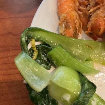 Milpitas Buffet - Some type of catapillar/worm in my bok choy. Unbelievable. The staff's reaction? Laughter. - Buffets Near Me - Milpitas, California Milpitas Buffet - Some type of catapillar/worm in my bok choy. Unbelievable. The staff's reaction? Laughter. - Buffets Near Me - Milpitas, California