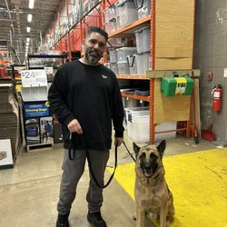 Dog Principal - German Shepherd socialization training at Home Depot in Arlington, VA.