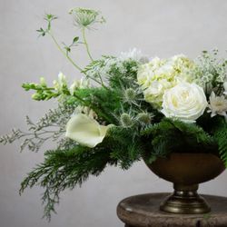 Langohr's Flowerland