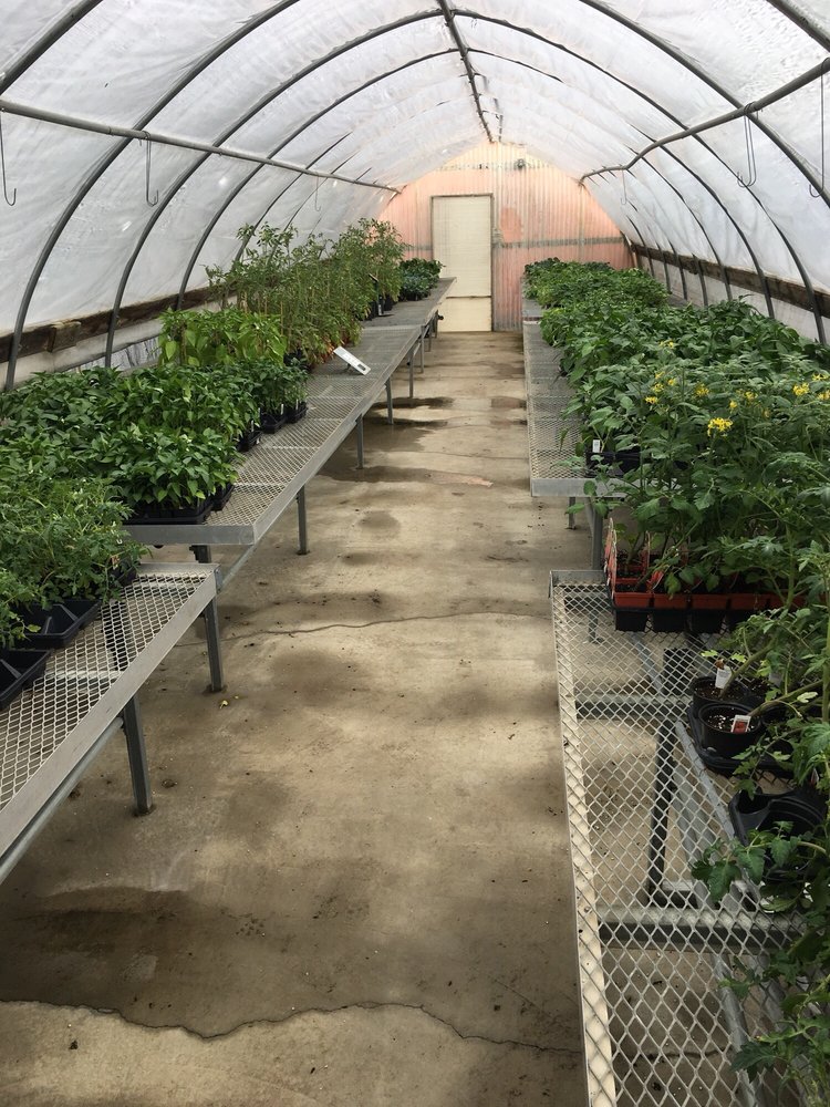 PANSE GREENHOUSE Updated August 2024 4038 N Westnedge Ave