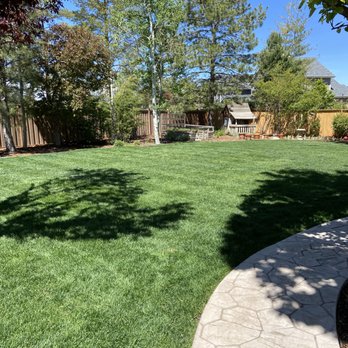 Rose Bug Lawn Care - Lawn Services Near Me Rose Bug Lawn Care - Lawn Services Near Me