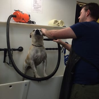 Self Serve Pet Spa - Paco and Dustin 3/31/2015 - Pet Groomers Near Me - Bakersfield, California