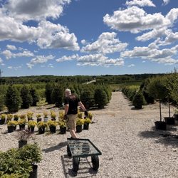 Breezy Hill Nursery - Menomonee Falls
