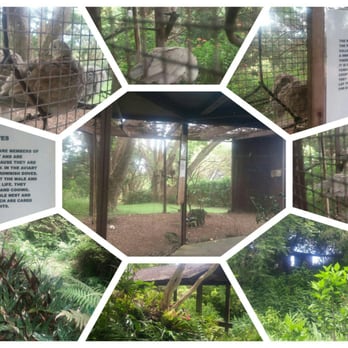 Kula Botanical Gardens - Parks Near Me - Kula, Hawaii
