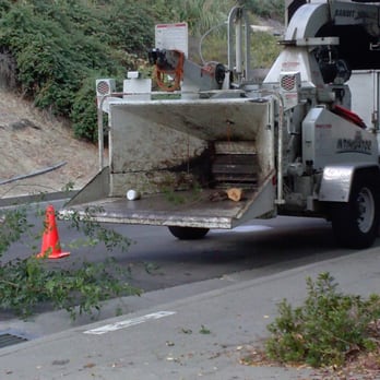 Bay Area Tree Care - Tree Services Near Me