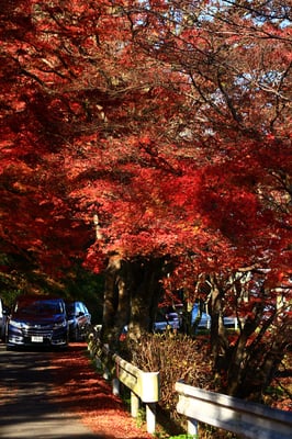 Yoshinoyama by null