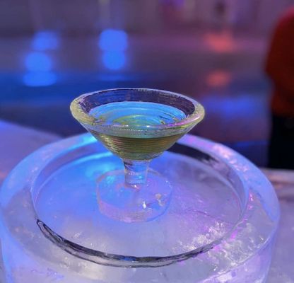 Aurora Ice Museum by null