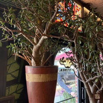 Pastimes Cafe - Cafes Near Me - Lakewood, Ohio