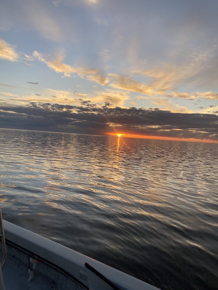 New Orleans Style Fishing Charters Logo