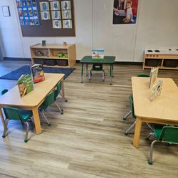 Stepping Stone School - University/Post Oak