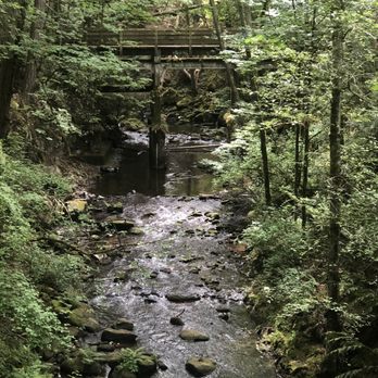 Whatcom Falls Park - Old bridge .. on waterline trail - Dog Parks Near Me - Bellingham, Washington Whatcom Falls Park - Old bridge .. on waterline trail - Dog Parks Near Me - Bellingham, Washington