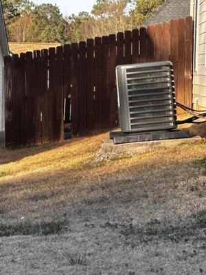 Atlanta Humane Society by null