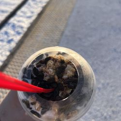 La Michoacana Premium Oak Lawn
