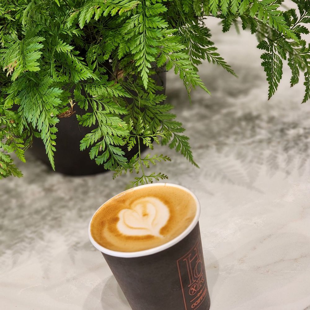 Honest Coffee Roasters - Coffee Roasteries Near Me - Franklin, Tennessee