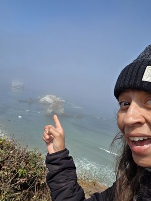 Sand Dollar Beach by null