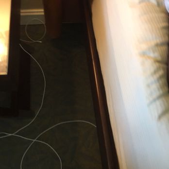 Hammock Beach Resort - Not a good pic, trying to show spacing between floor and carpet. - Resorts Near Me - Palm Coast, Florida
