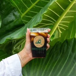 Coco Cold Brew Kauai - The classic Da Kine - black cold brew coffee
