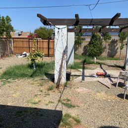 Our gate is in the background