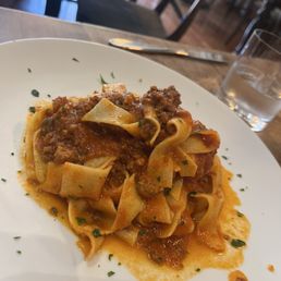 Bolognese Bolognese
