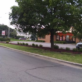 Dunkin' - a tree in the middle of a street - Donuts Near Me - Bolingbrook, Illinois Dunkin' - a tree in the middle of a street - Donuts Near Me - Bolingbrook, Illinois
