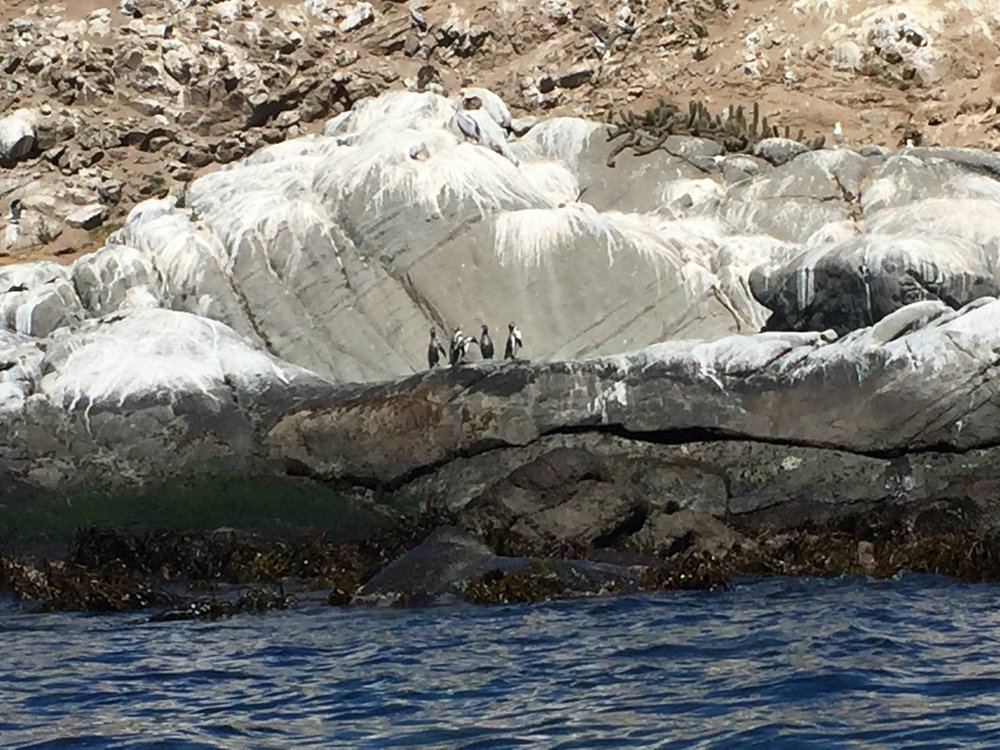 Terraventura Outdoor