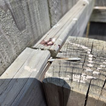 Bee Fencing and Decks - Fences & Gates Near Me - Cabot, Arkansas Bee Fencing and Decks - Fences & Gates Near Me - Cabot, Arkansas