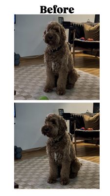 REBER RANCH - Updated February 2026 - 135 Photos & 230 Reviews - 28606 ...