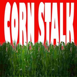 Arizona Pumpkin Patch - Corn Stalk For Sale Queen Creek