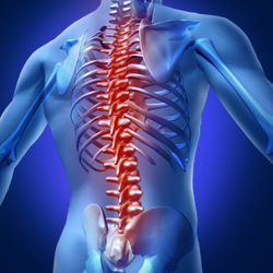 Fall River Spine And Disc Center