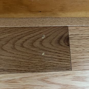 Absolute Floors - Filled nail holes in flooring - Flooring Near Me - Nashua, New Hampshire