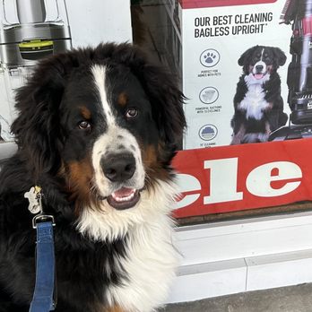 Coast Sewing & Vacuum Center - Even my dog, Woof, wants to buy a vacuum cleaner at Coast Sewing & Vacuum! - Appliances & Repair Near Me - Escondido, California Coast Sewing & Vacuum Center - Even my dog, Woof, wants to buy a vacuum cleaner at Coast Sewing & Vacuum! - Appliances & Repair Near Me - Escondido, California