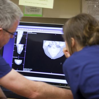 BluePearl - Midvale - Veterinarians Near Me - Midvale, Utah BluePearl - Midvale - Veterinarians Near Me - Midvale, Utah