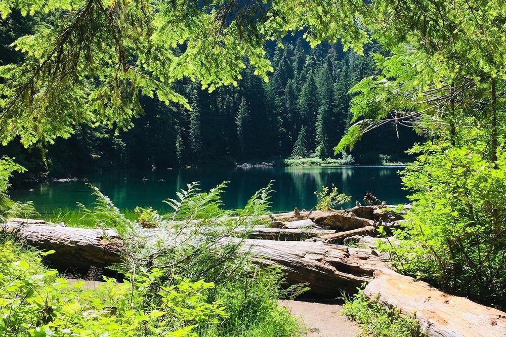 GREEN LAKE TRAIL 15 Photos Carbonado, Washington Hiking Phone