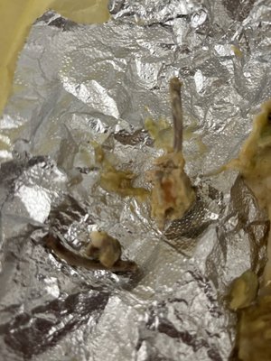 Bronco Burrito Restaurant by null