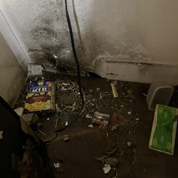 Wrangler Pest Control - Rat holes - Pest Control Near Me Wrangler Pest Control - Rat holes - Pest Control Near Me