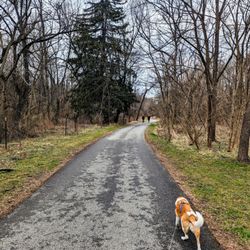 Darby Creek Trail