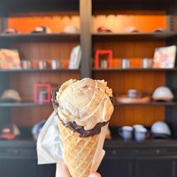 Friends & Co Ice Cream - Peanut Butter Fudge