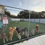 Photo of The Dog Lounge