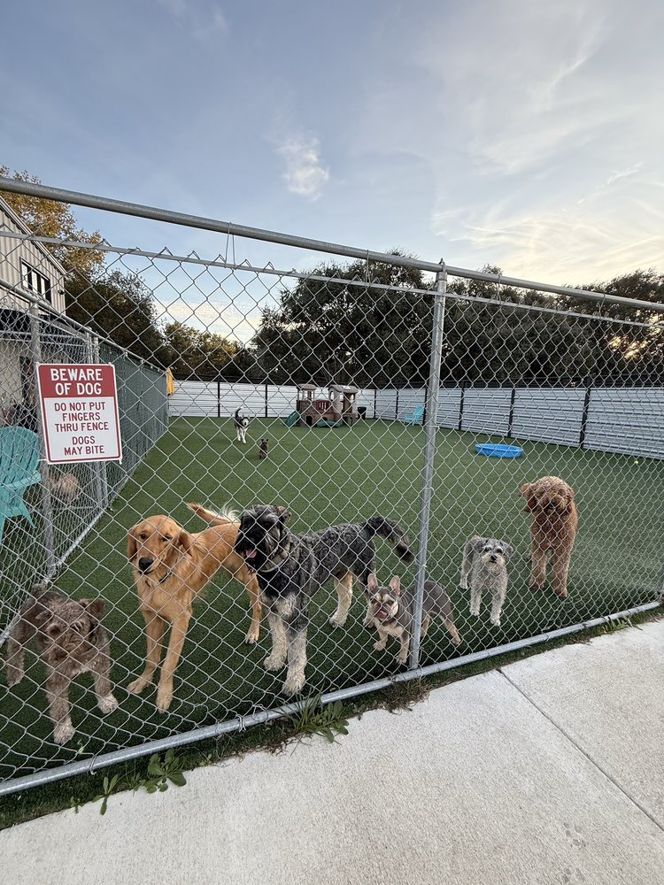 The Dog Lounge - pet boarding facility in Sugar Land, TX