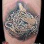 Photo of Imperial Body Art