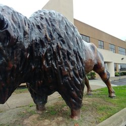 Town of Cheektowaga
