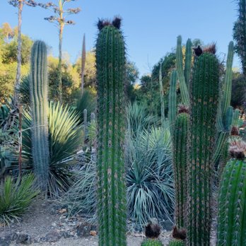 Arizona Garden - Botanical Gardens Near Me - Stanford, California Arizona Garden - Botanical Gardens Near Me - Stanford, California