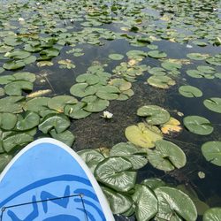 Wingra Boats